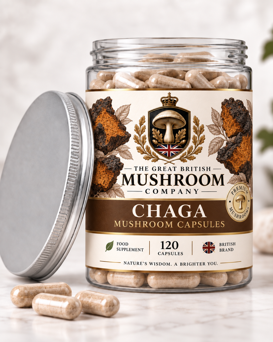 Chaga