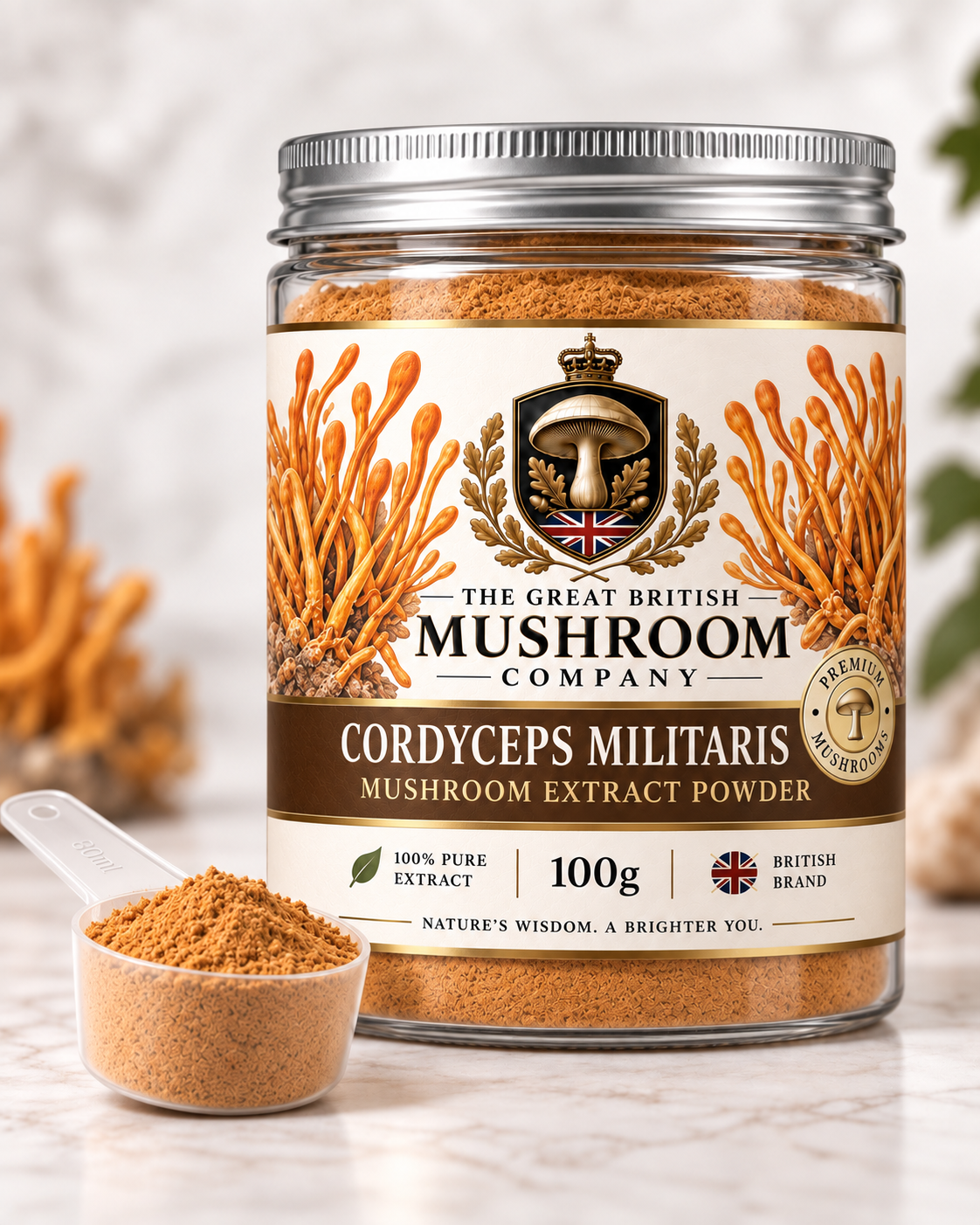 Cordyceps Militaris Mushroom Extract Powder - 100g