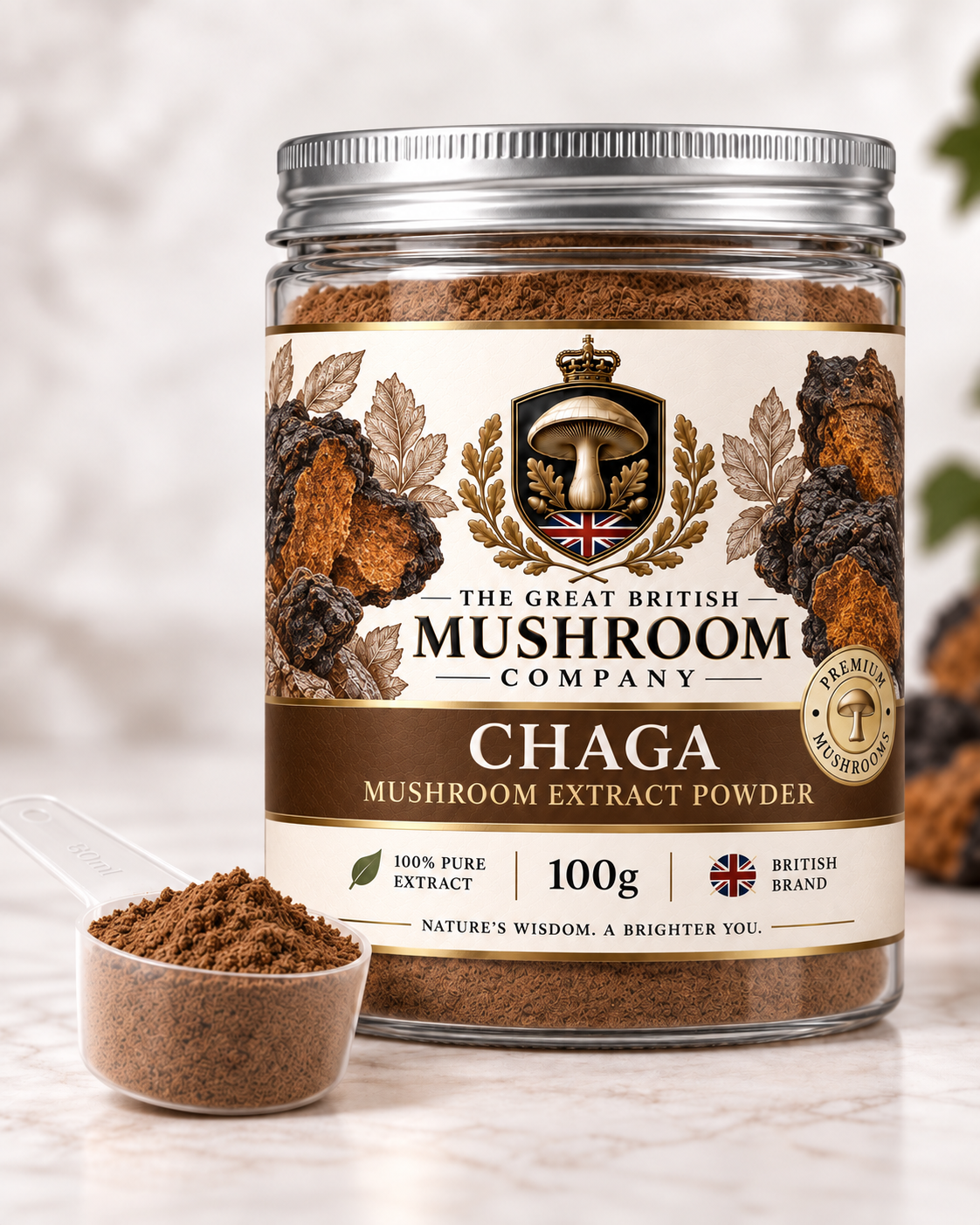 Chaga Mushroom Extract Powder – 100g